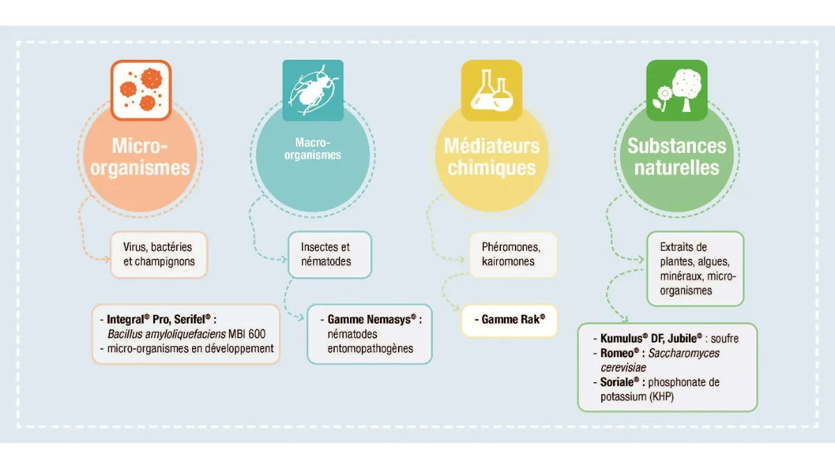 les catégories de produits de biocontrôle