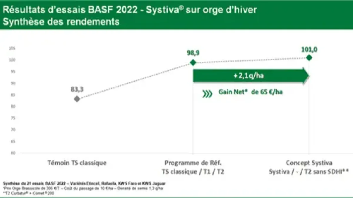 rendement orge systiva