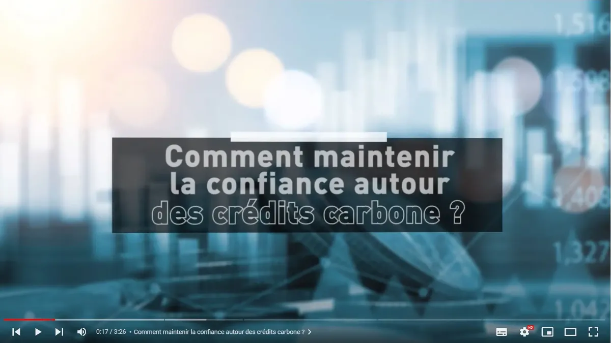 confiance crédits carbone
