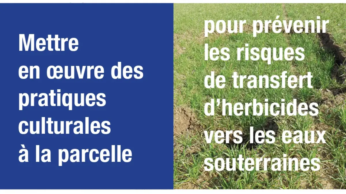 Mettre en oeuvre des pratiques culturales à la parcelle