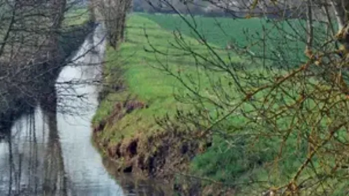 gestion responsable des herbicides à base de bentazone