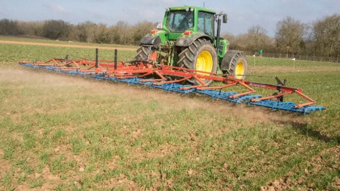 herse étrille : désherbage mécanique du blé