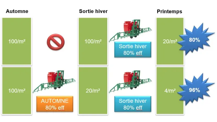 Efficacité théorique d'un programme de désherbage à l'automne