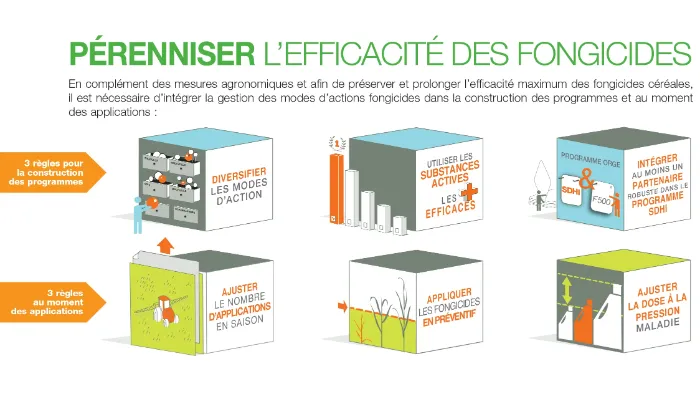 protection fongicide de l'orge : pérenniser l'efficacité des fongicides