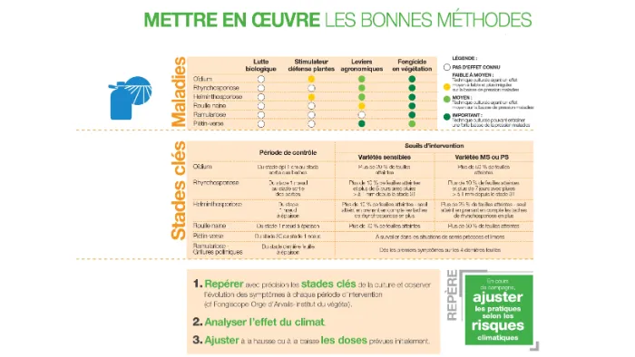 protection fongicide de l'orge : mettre en oeuvre les bonnes méthodes