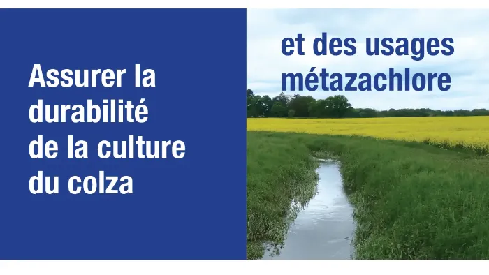 Assurer la durabilité de la culture colza et des usages metazachlore