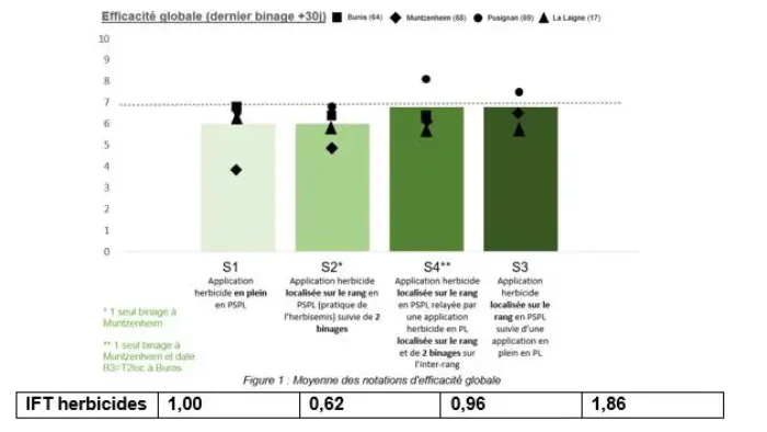 stratégie désherbage du maïs binage