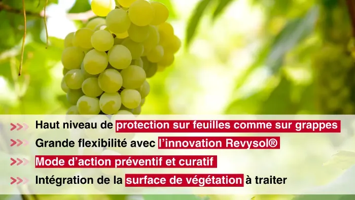 Revyvit avantages produits